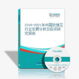 2016-2020年中国玫瑰花市场前景及融资战略咨询报告